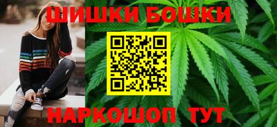индика Рыбинск
