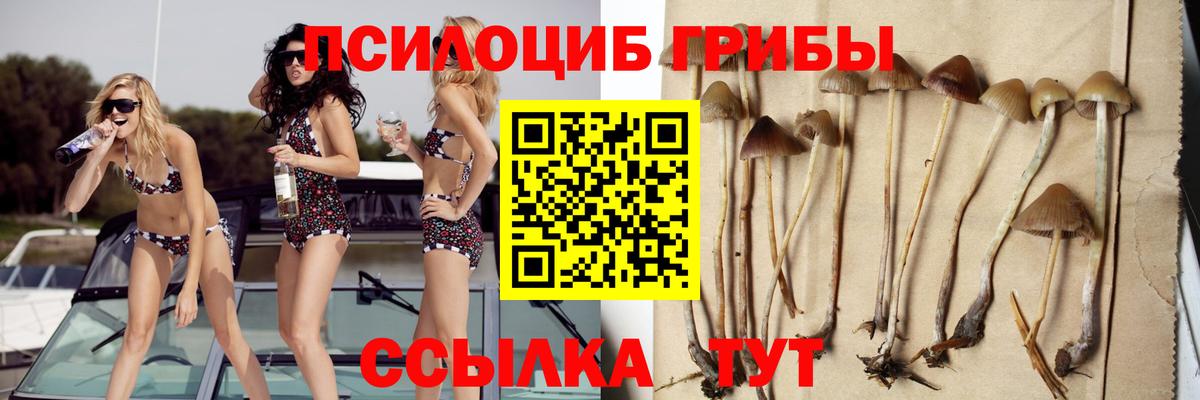 как найти закладки  Галлюциногенные грибы ЛСД  Вход с VPN  Рязань 